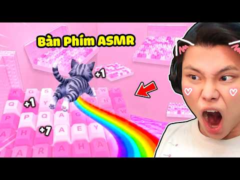 [ROBLOX] JayGray +1 Mèo Bay Bàn Phím ASMR Âm Thanh😻✨Thử Thách Tiến Hóa Thú Cưng Vượt Qua Chướng Ngại