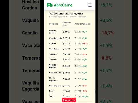 Victoria - Ferias Araucanía 20/03/2026 #aprocarne