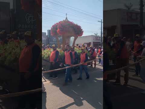 Círio de Nazaré de São Domingos Do Araguaia para #cirio
