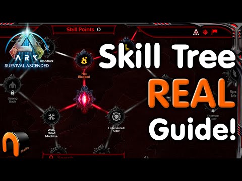 Ark SKILL TREE Guide REAL GOOD Advice!