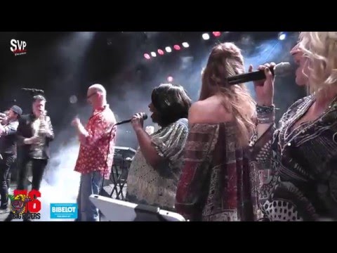 Mad Dogs & Englishband @ Big Rivers Indoor 2016 Bibelot