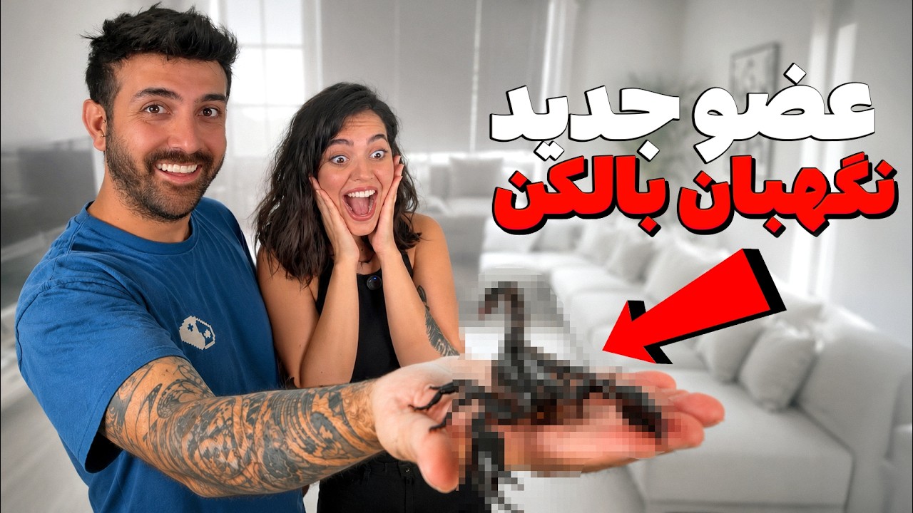 کاش اینکارو نمیکرد ( تا آخر ببینید)