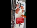 Fish Club Is Live