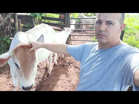 Eu e meu sogro em Nova Aurora Goiás