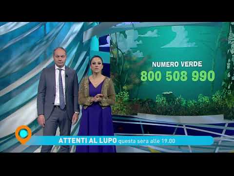 "Attenti al lupo" - "Badanti", giovedì 19 dicembre ore 19 su Tv2000