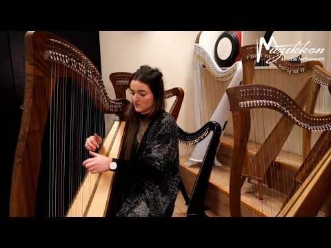 Muzikkon 38 String McHugh Harp Walnut
