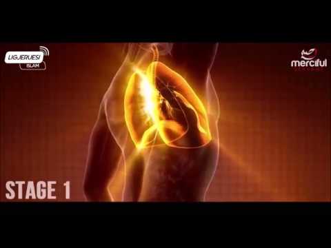 Përfitimet Shkencore të Agjërimit