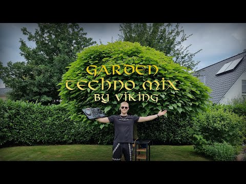 Garden Techno Mix / DIMITRI VEGAS, TIMMY TRUMPET, HI-FO... with the Pionner DDJ-400 BY VIKING