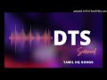 Poothathu Poonthoppu Thanga Manasukaran DTS Surround