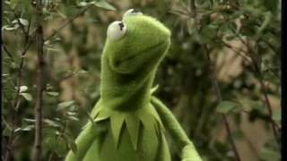 The Muppet Show: Kermit - &quot;Bein&#39; Green&quot;