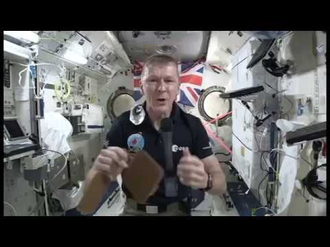 Principia post-flight tour: expedition 46 & 47 - Tim Peake & Tim Kopra