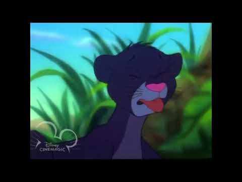 Fuli and the Kion 2: Bagheera's Adventure Part 15 - Missing Bagheera