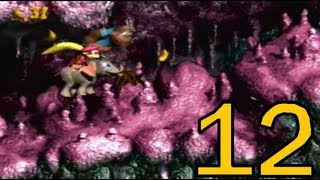 Let's Play Donkey Kong Country 3 103% Part 12 With MilesLuigi!