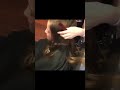 Sexy Women Very Long Hair Headshave Haircut 4