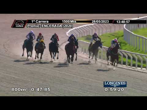 230528 c01 - LINDA RUBIA - HIPODROMO DE MAROÑAS