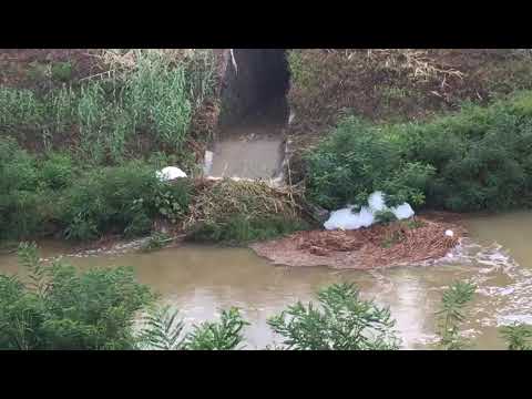 Schiuma bianca sotto il ponte della ferrovia