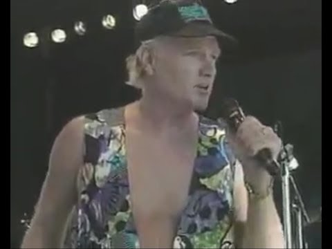 The Beach Boys - Summer in Paradise (Live, 1993)