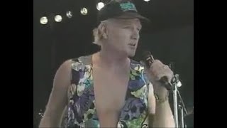 The Beach Boys - Summer in Paradise (Live, 1993)