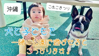 犬と子どもを一緒に公園で遊ばせるとこうなります！ 【こむこまつり】