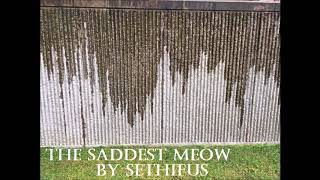 The Saddest Meow Music Video