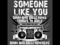Someone like you (Drum and Bass Re-mix ...