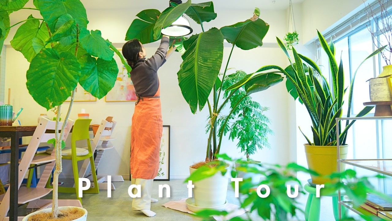 Plant Tour🪴 Living with 13 Plants & 3 Kids｜Japanese Family home | Vases & Home Decor | Daily Vlog