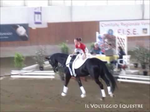 CVI Portogruaro 2016 - Volteggio - Ind 2* j F - 4°Marie-Christine Clement