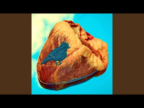 Mar De Mágica - Vince