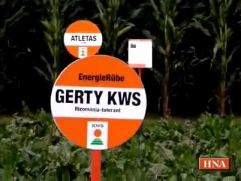 KWS Energy Garden in Einbeck