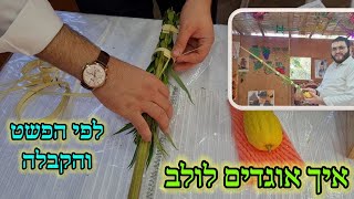 איך קושרים ואוגדים לולב בקלות לפי הפשט והקבלה (הסוד לפי הארי ז"ל) קצר וקולע • הרב עובדיה דרעי | HD