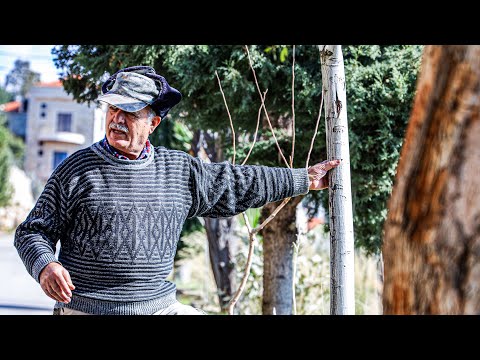 MIZIARA: A Beautiful Village on the Hills of North Lebanon