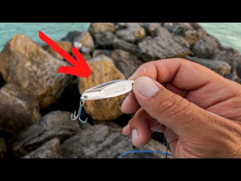 THREW This Spoon At The JETTY And CAUGHT EVERY FISH! **insane results**