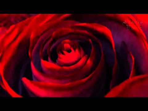 Franco Rojas - ''Qué Casualidad'' ORIGINAL - APDAYC Derechos de autor