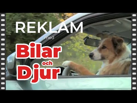 Reklam | Bilar och Djur - Jaguar hånar Mercedes Benz