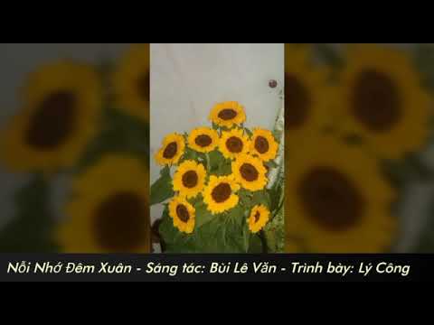 Nỗi nhớ đêm xuân - Lý Công