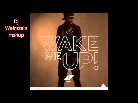 Avicii Vs bingo players -  wake me buzzcut (Dj Weinstein mshup)
