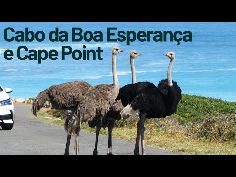 Como chegar no Cabo da Boa Esperança