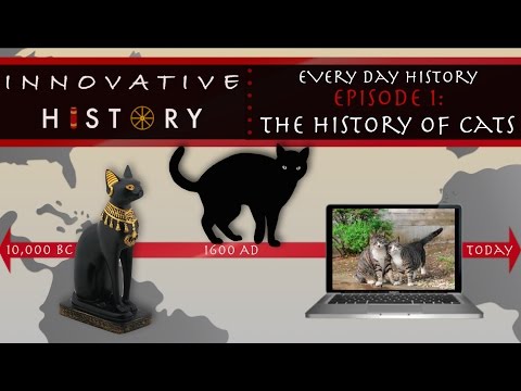 The History of Cats - Innovative History