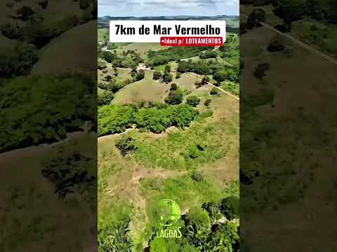Fazenda à venda com 96 tarefas em Pindoba-AL