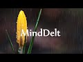 20 MINUTES Pure Rain Sounds (no music) - Gentle RAIN Ambiance For Sleep, Relax, Meditate, Study, Spa