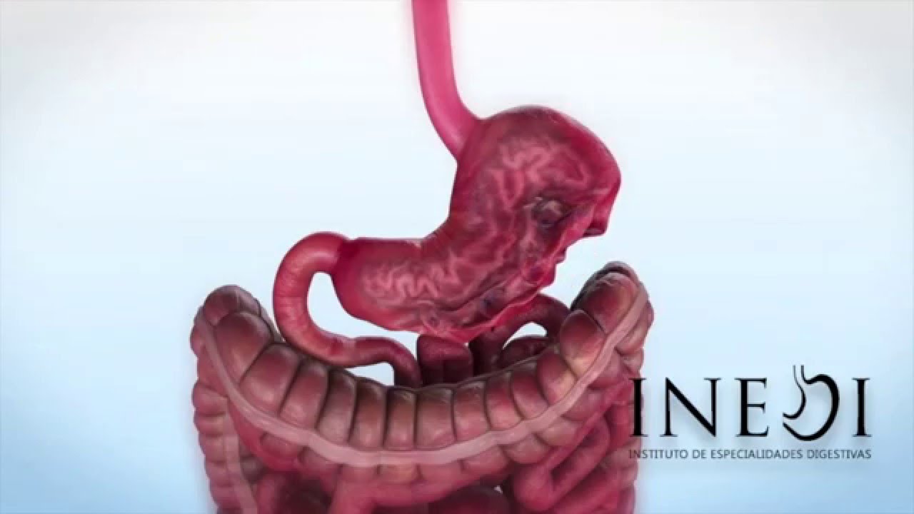 Diego Sánchez Muñoz-7