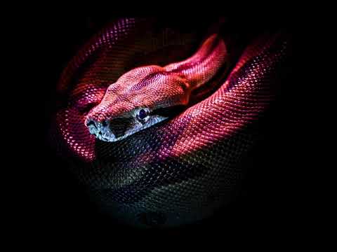 Don Knotty - Trust Issues