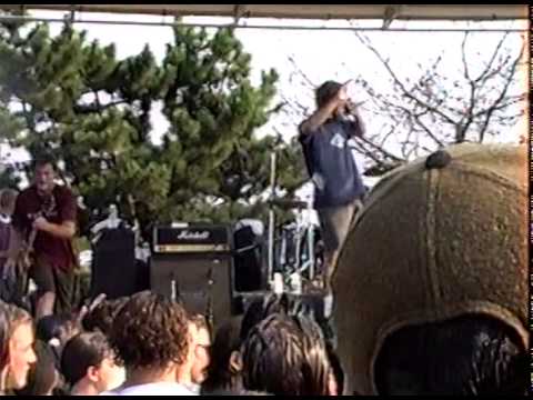 Thumbnail for Seaweed at the First Warped Tour - Long Island 1995