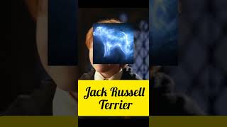 Download lagu Harry Potter characters patronus part 1 #patronus #harrypotter #youtubeshorts #shortsvideo #ytshorts mp3 Download lagu Harry Potter characters patronus part 1 #patronus #harrypotter #youtubeshorts #shortsvideo #ytshorts mp3