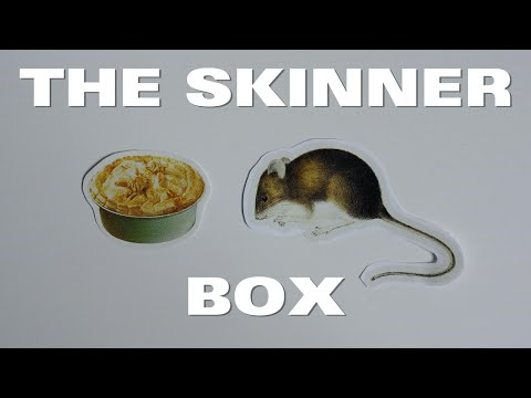 The Research Experiment That Saved Me From Scrolling (& Learn to Love Reading Again)