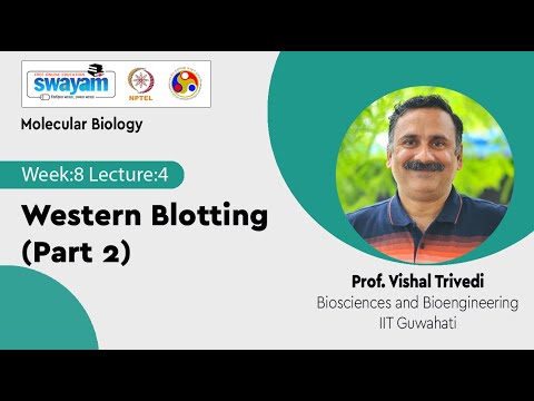 Molecular Biology Introduction Video