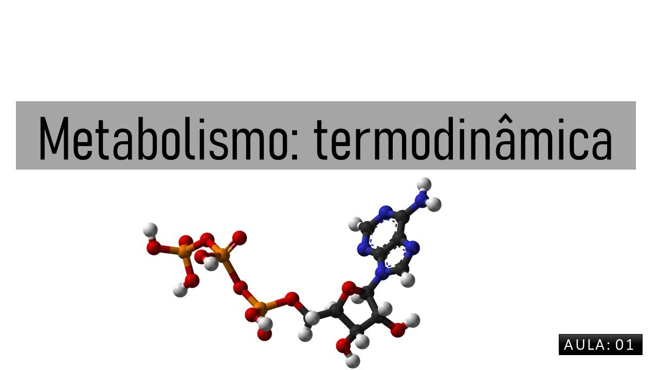 Metabolismo: Termodinâmica