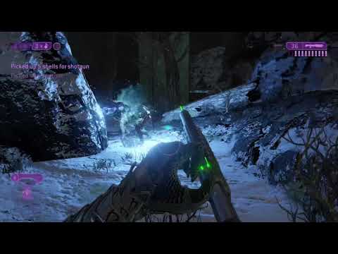Halo 2 - Elite calls me an asshole