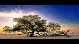 Bahrain's tourist attractions