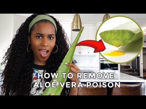 How To Properly Clean + Remove The Poison From Aloe Vera Before You Use It  *guaranteed results*